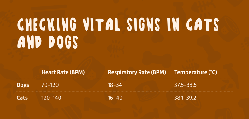 Dog.Cat_.Vital_.Signs_Infographic-2048x980