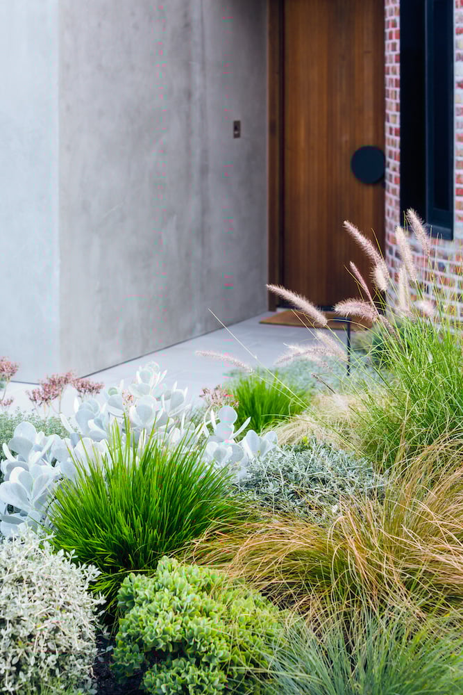 Low-Maintenance Landscaping for Busy Lifestyles-dOiH8JEQe9UoOlEVHXtxc1Z_jPMaq711MP7rXE3esSp-1qg