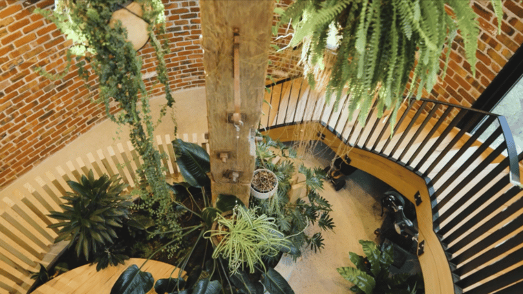 Landscape Design Drawings with Clients