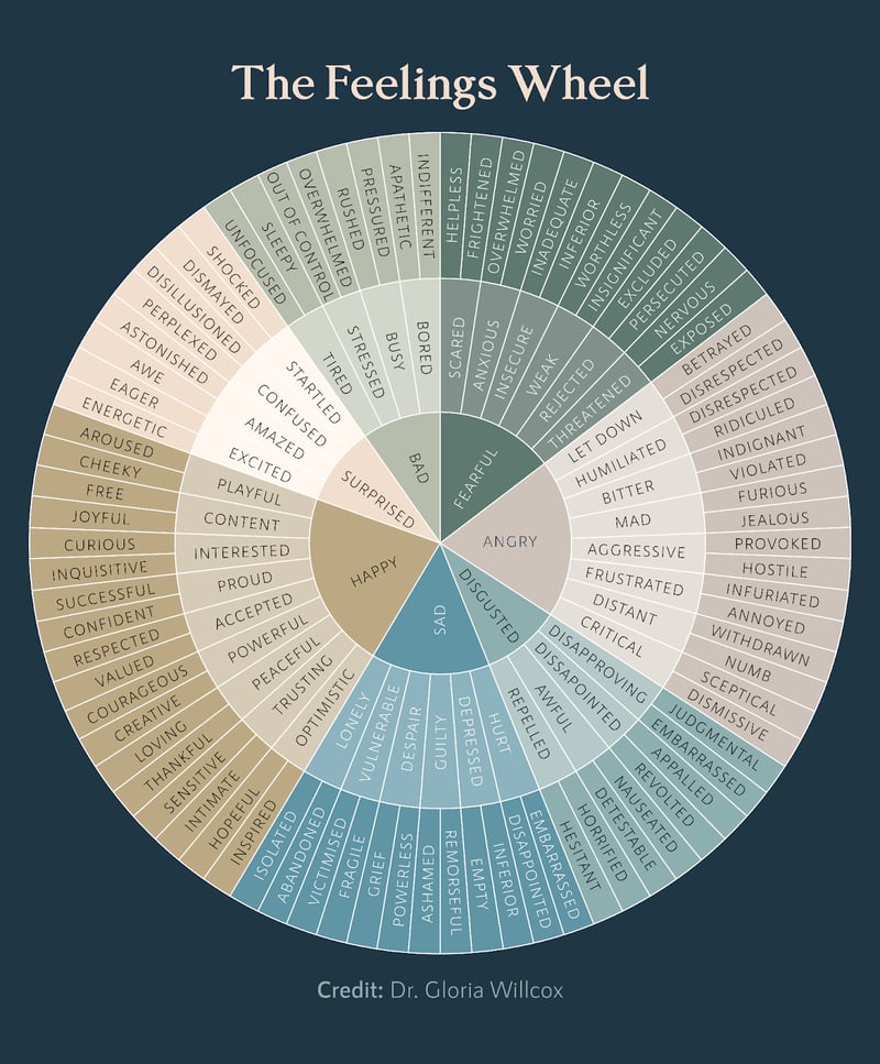 The feelings wheel