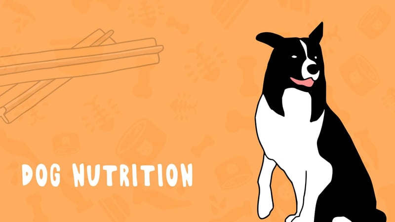 Dog Nutrition