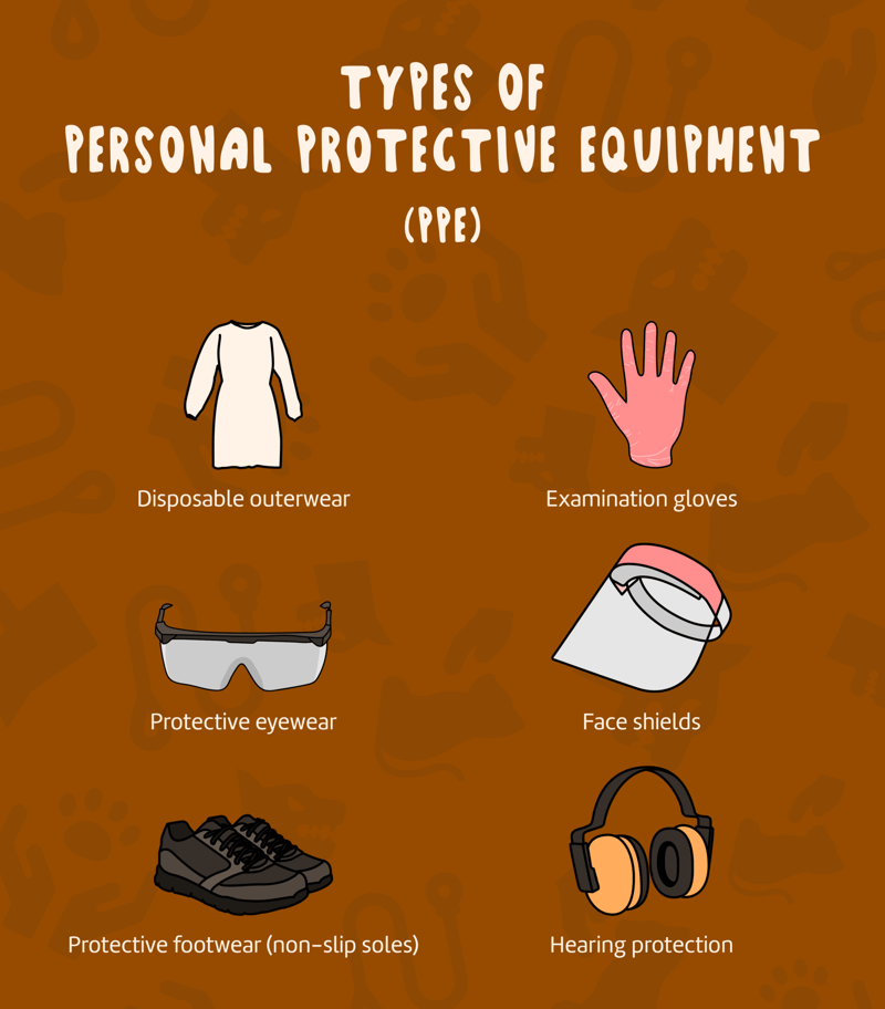 PPE_Infographic-1-1796x2048