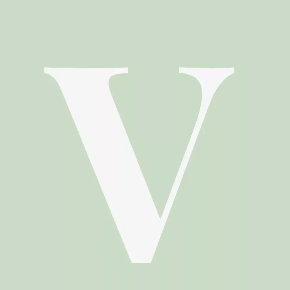 velvet-logo-1