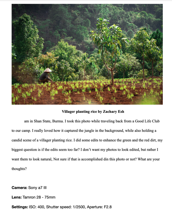 A villager planting rice photographed by Zachary Esh