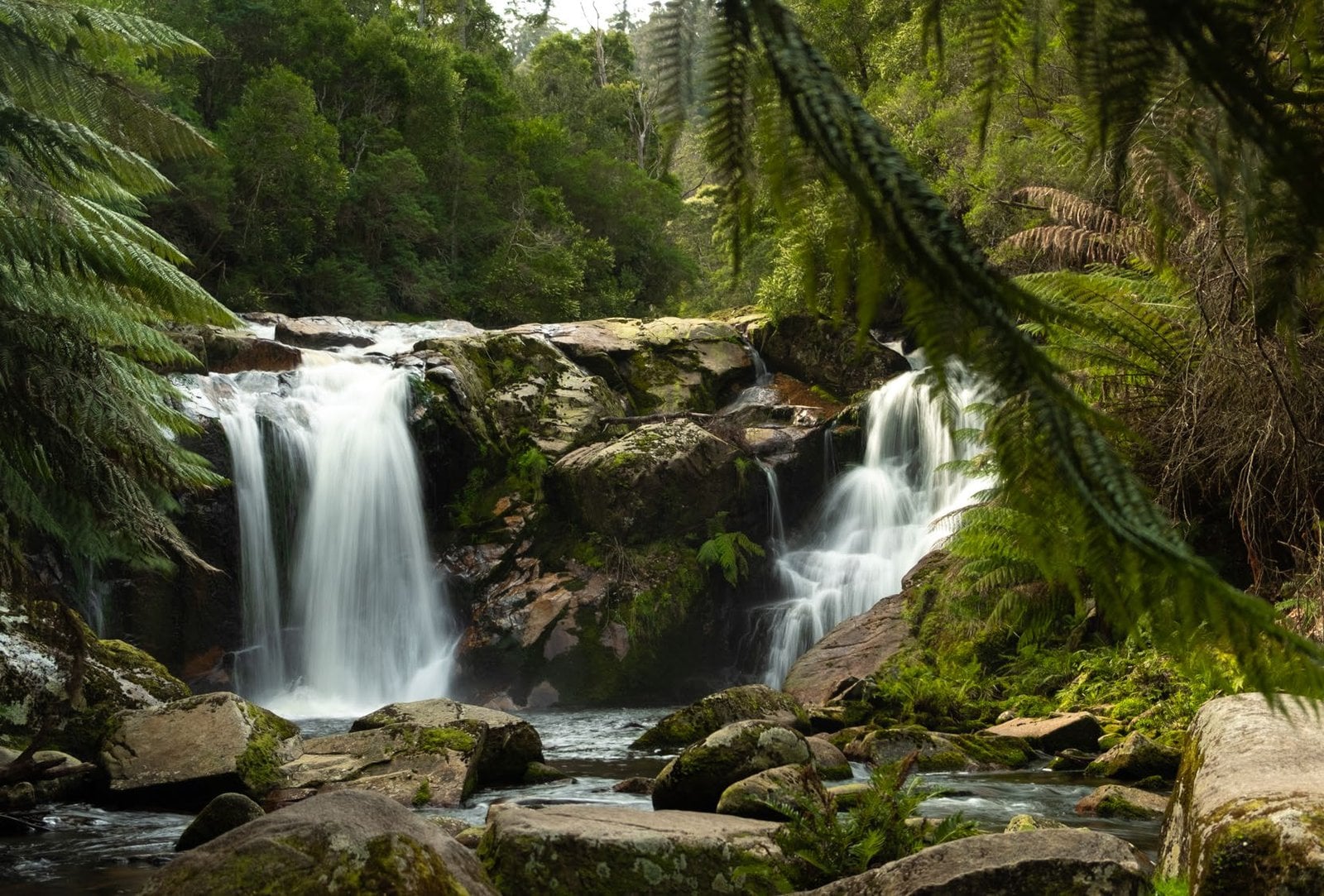 Halls Falls in Tasmania