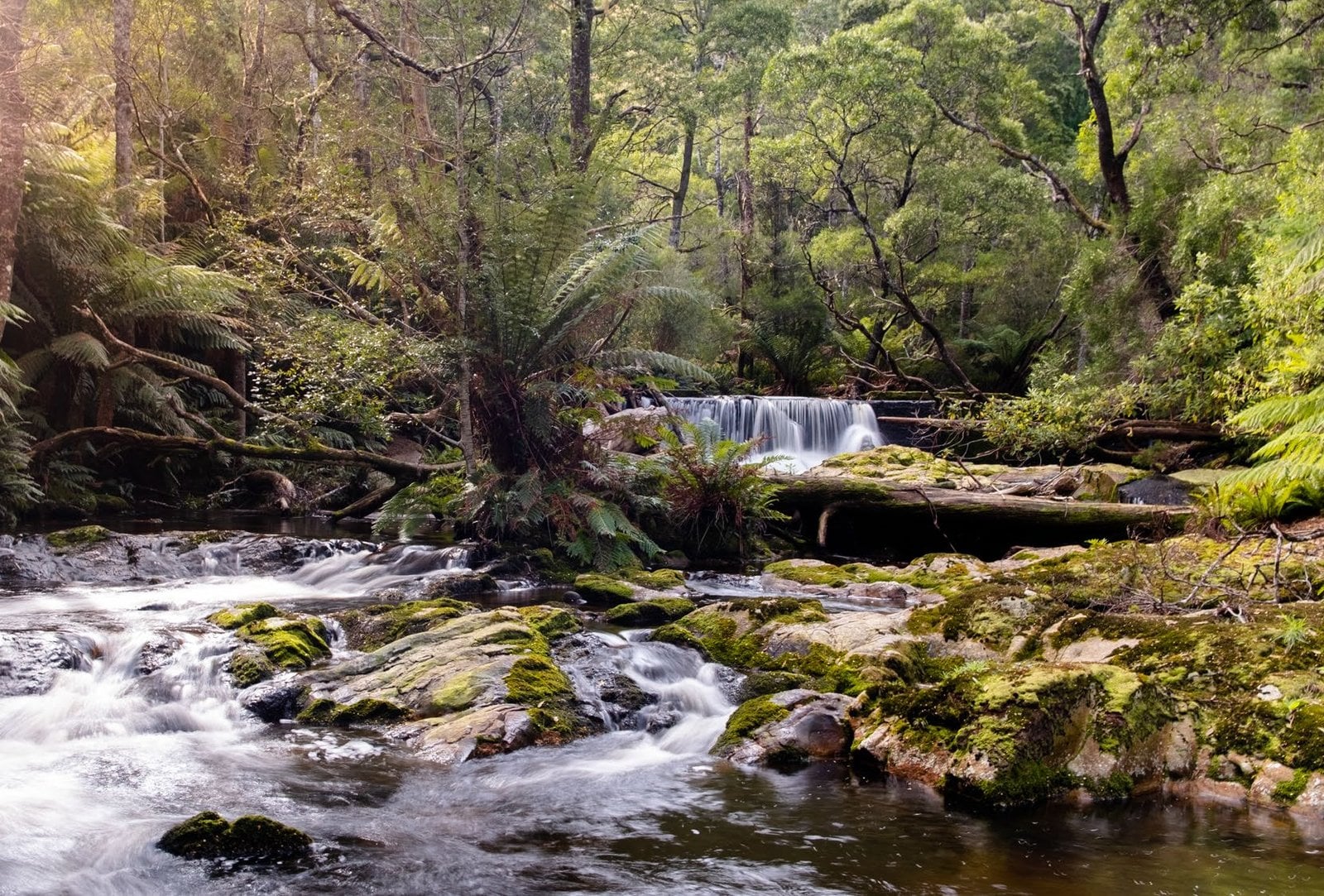 Close view of Halls Falls