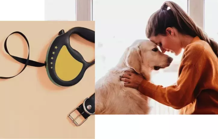 Ulleo-dog-care-and-training-essentials